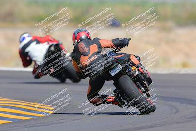 media/Oct-09-2022-SoCal Trackdays (Sun) [[95640aeeb6]]/Turn 14 Backside (1125am)/